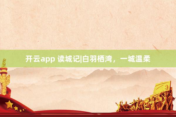 开云app 读城记|白羽栖湾，一城温柔