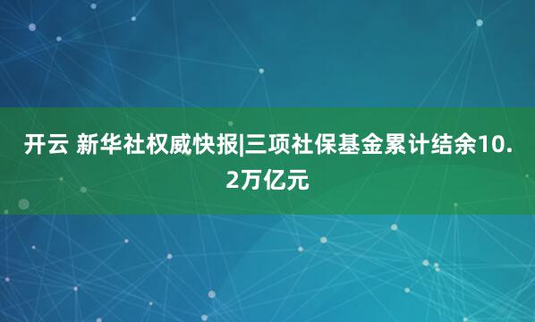开云 新华社权威快报|三项社保基金累计结余10.2万亿元