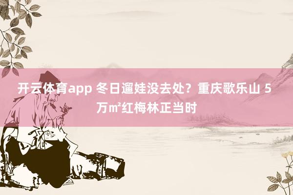 开云体育app 冬日遛娃没去处?重庆歌乐山 5 万㎡红梅林正当时