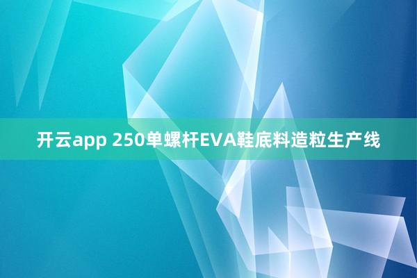 开云app 250单螺杆EVA鞋底料造粒生产线