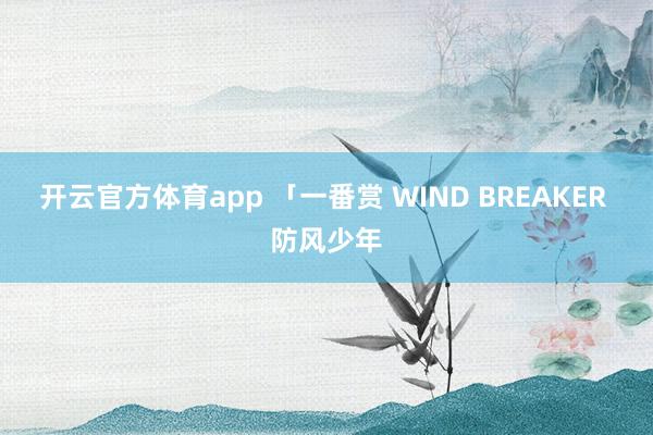 开云官方体育app 「一番赏 WIND BREAKER 防风少年