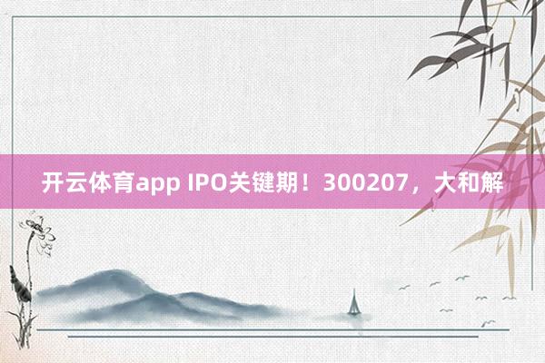 开云体育app IPO关键期！300207，大和解