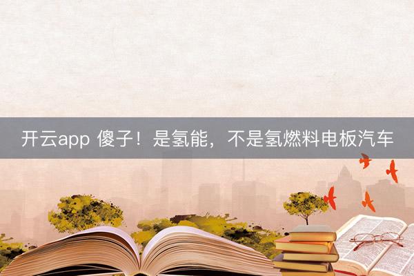 开云app 傻子!是氢能,不是氢燃料电板汽车